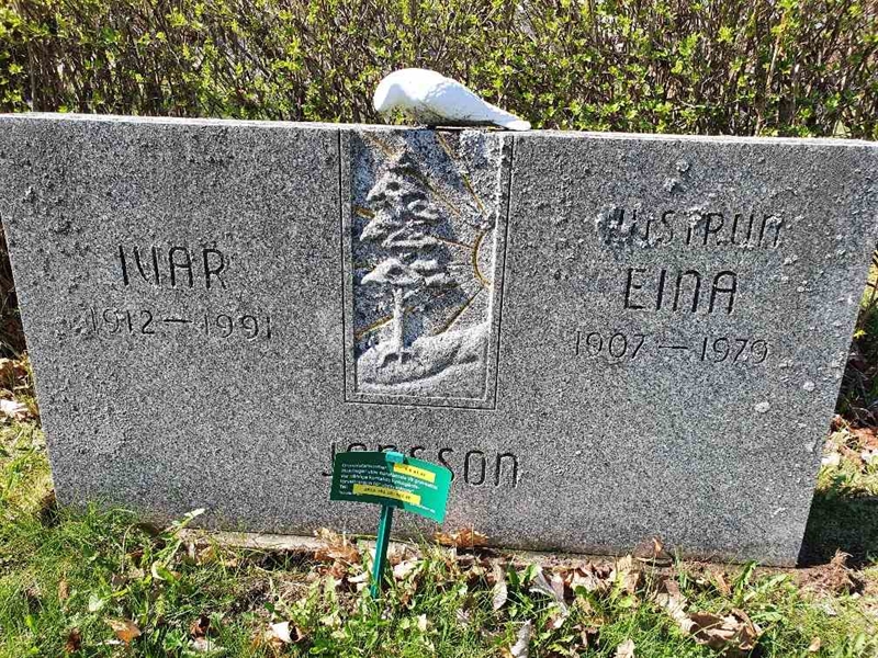 Grave number: 1 9    41-42