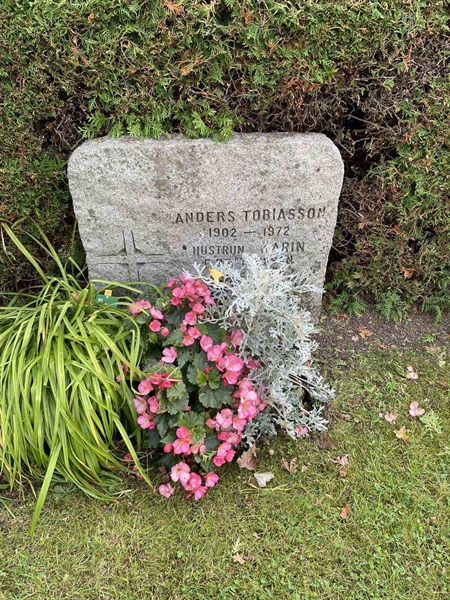 Hautatunnus: Kaga ga    81