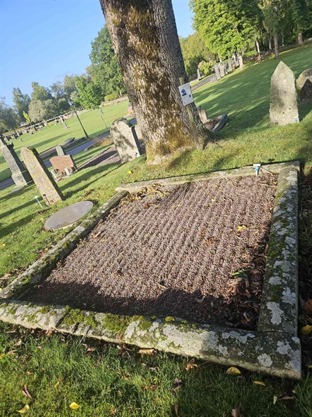 Grave number: Fr 4   635-637