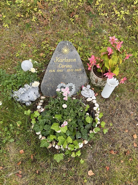 Grave number: 6 6    64
