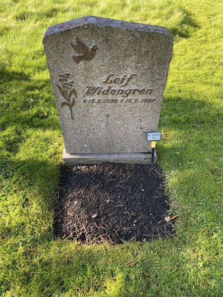 Hautatunnus: 2 F   224