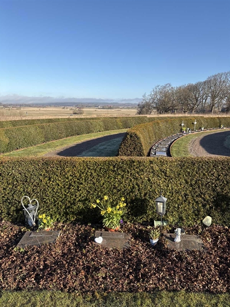 Gravnummer: ÄNG Talgo    55