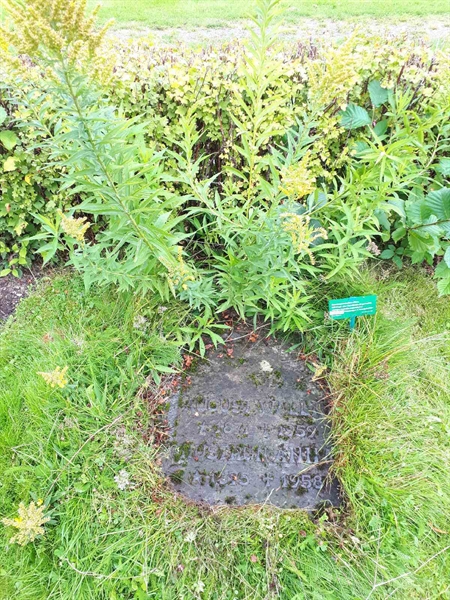 Gravnummer: NK F G   172