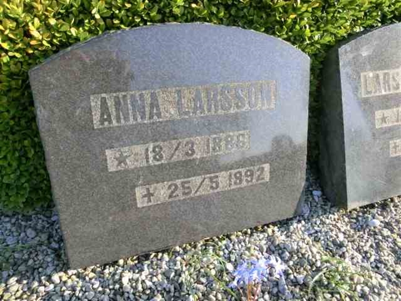 Grave number: ÄS 01    004