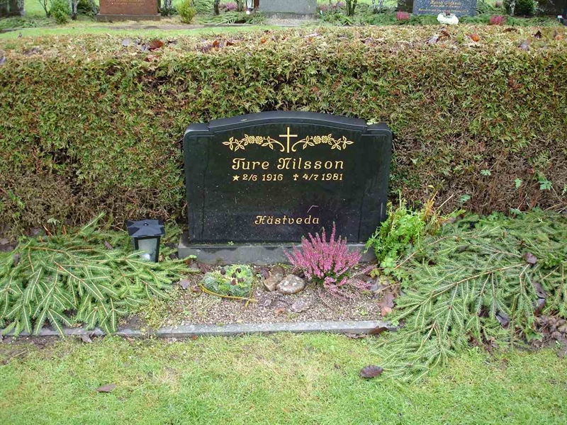 Grave number: HK J   195, 196