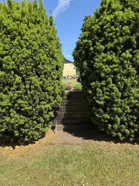 Hautatunnus: TR 1 3 60