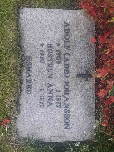 Grave number: BR C    46, 47