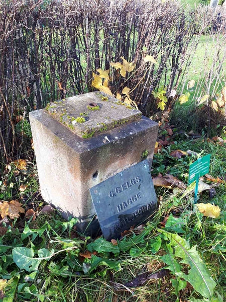 Gravnummer: GK F 1   398