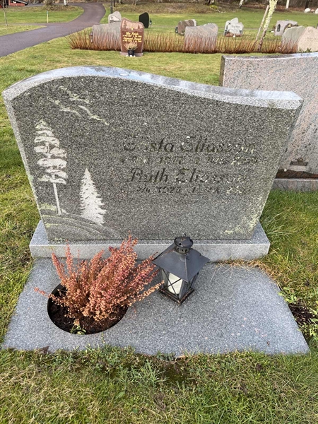 Grave number: Ärt 96 36 21+22
