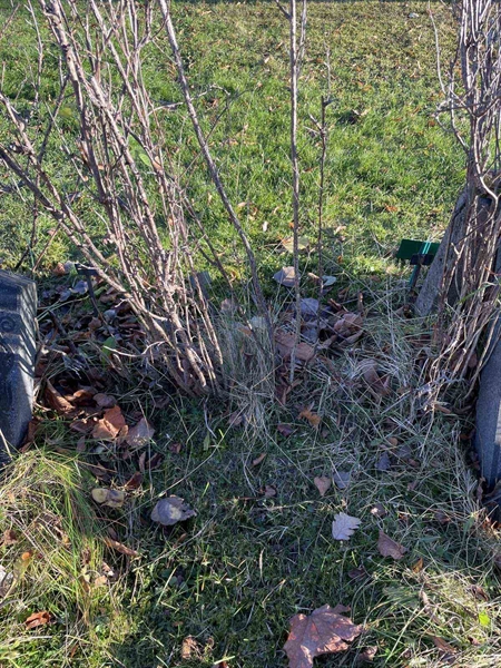 Gravnummer: GK A 3   554