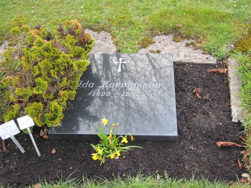 Grave number: 2 1   262