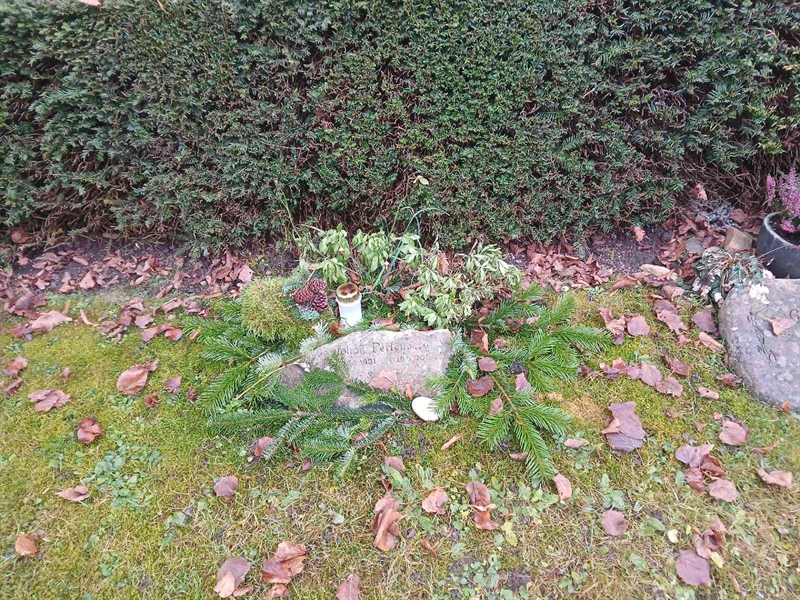 Hautatunnus: FE H   233