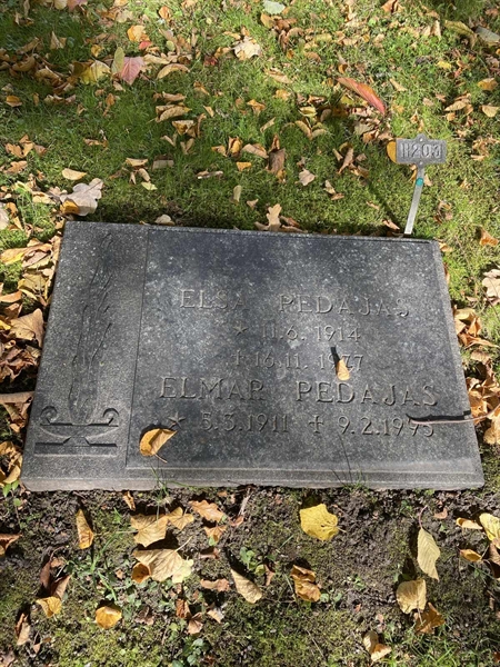 Hautatunnus: 1 H   203