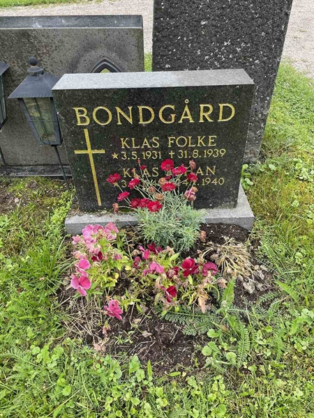 Gravnummer: N 4 3   428