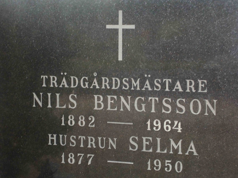 Grave number: SK D    41-42