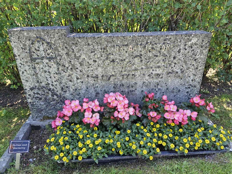 Hautatunnus: 1 HOPP 25C