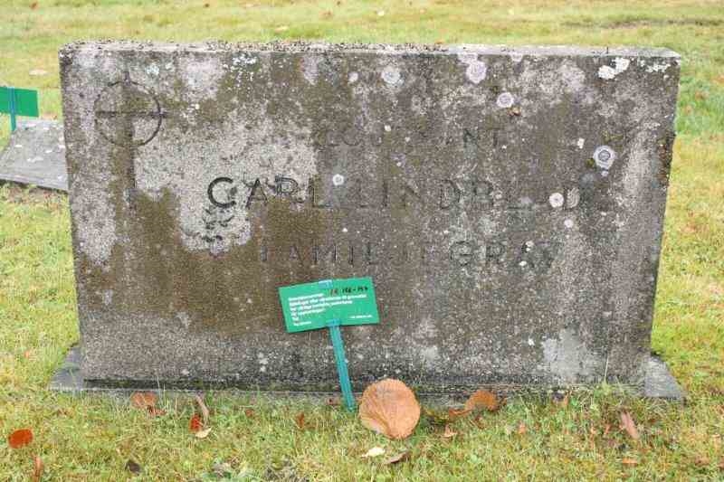 Grave number: 01 A   156-157