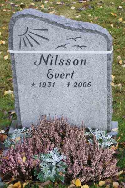 Grave number: 01 A   353