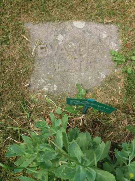 Grave number: 08   249