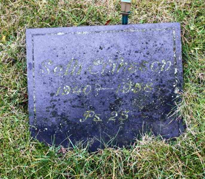 Grave number: 02 D    54