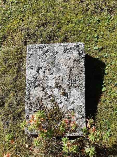 Grave number: 04 A   479