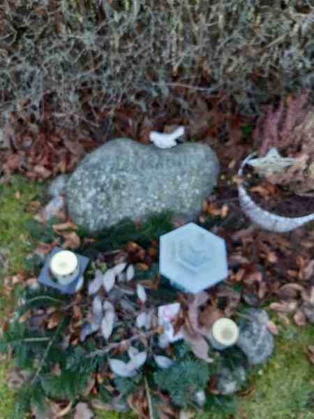 Grave number: 09 3    49