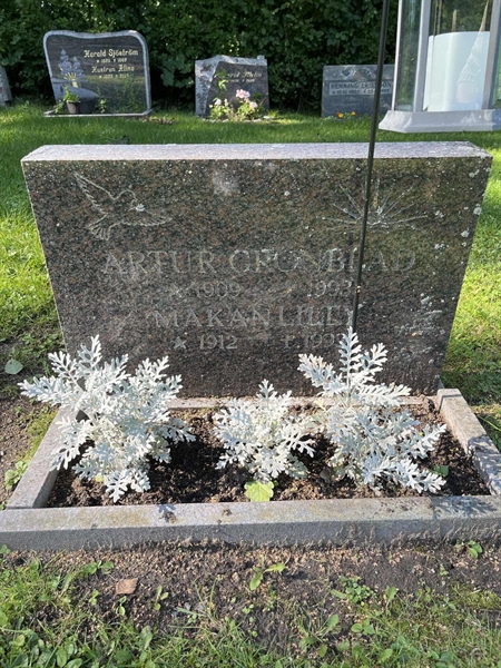 Grave number: 5 05   525