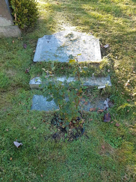 Hautatunnus: Fr 7   322-323