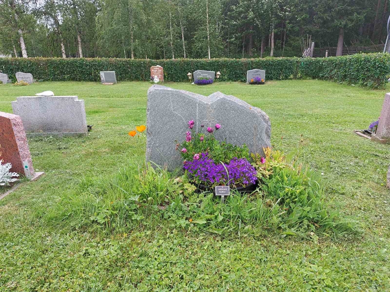 Grave number: FÖ 7   111