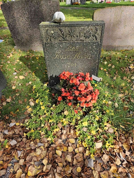 Grave number: Fr 7  1021