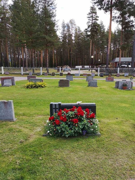 Hautatunnus: VLM 04    25:1-2