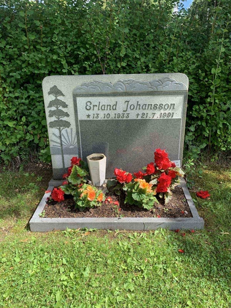 Grave number: 1 29    37-38