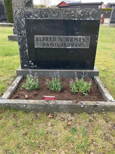 Grave number: NÅ 30    42, 43