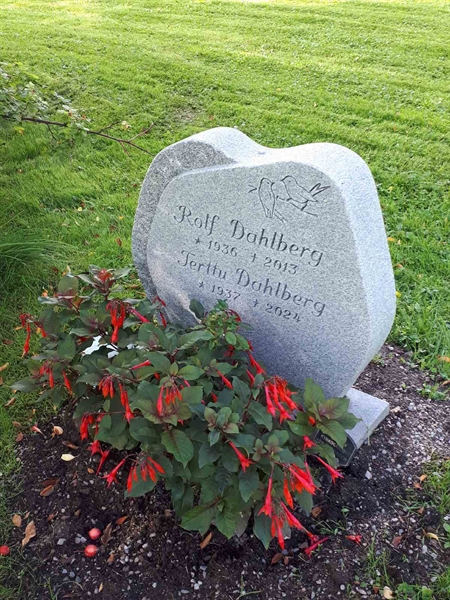 Gravnummer: NK F D   461