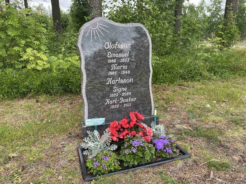 Grave number: 3 02     2