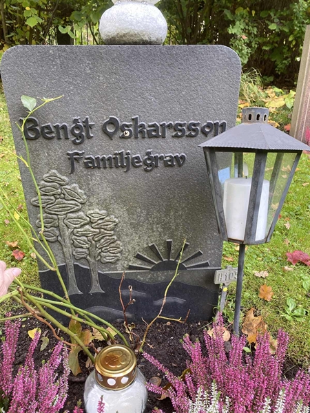 Gravnummer: 1 H   105