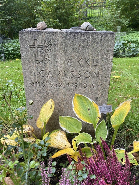 Gravnummer: 1 H    46