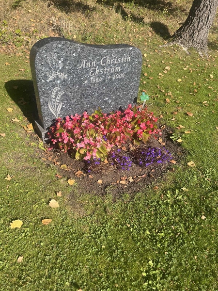 Grave number: 1 3 C1    98