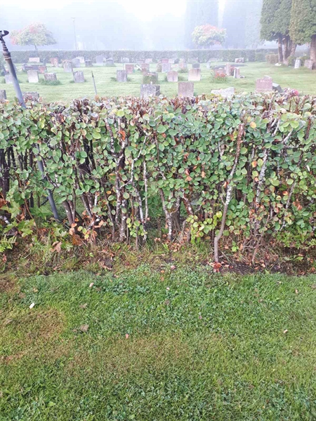 Hautatunnus: NK F B   183A