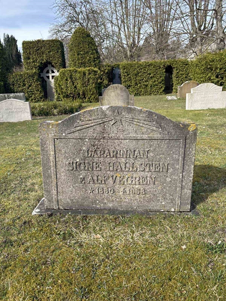 Gravnummer: LI    54