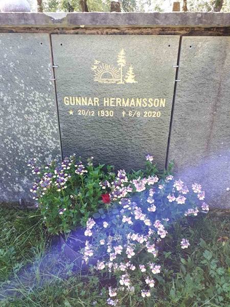 Hautatunnus: GK U 4   469