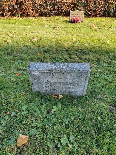 Grave number: D G 4   730a