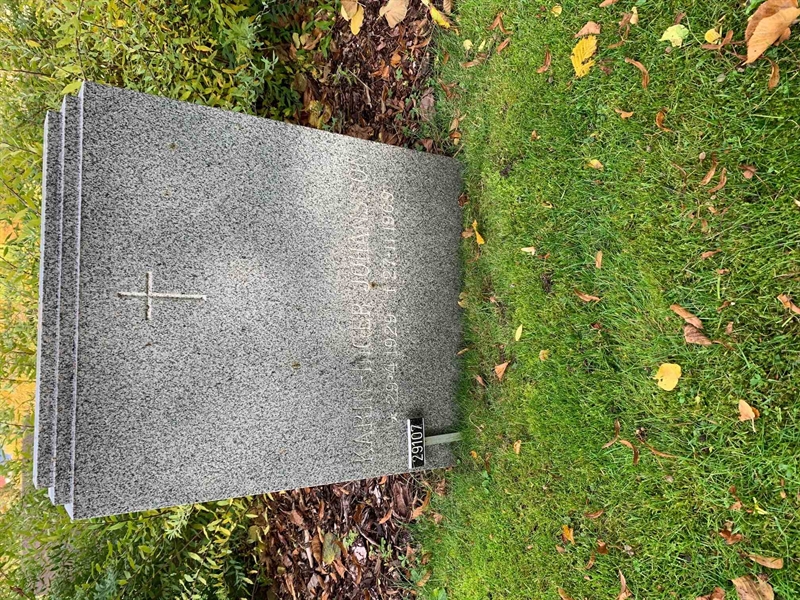 Grave number: Ö 29   154