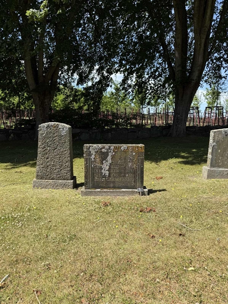Hautatunnus: TR 2 2 17