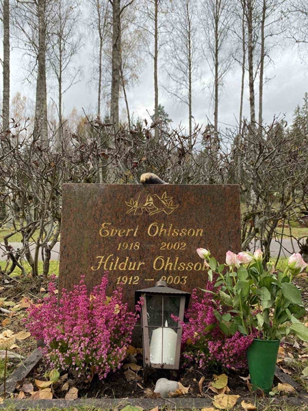 Grave number: 1 29     30