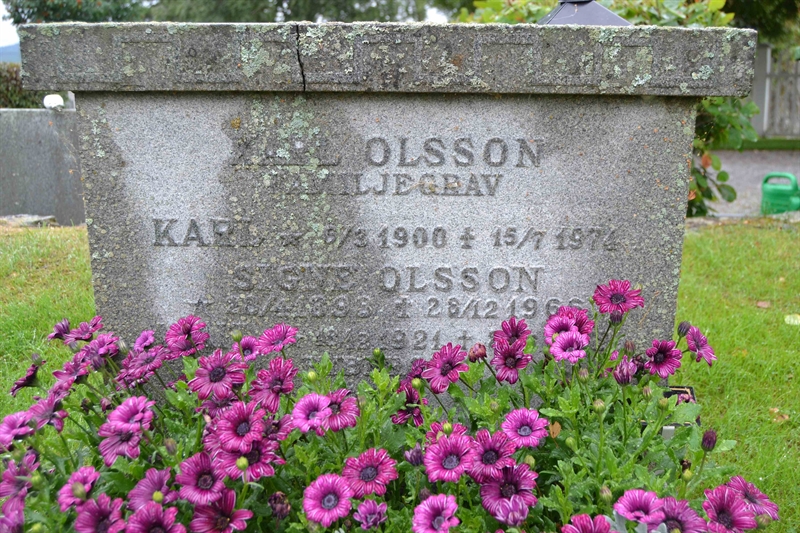 Grave number: 11 1   309-311