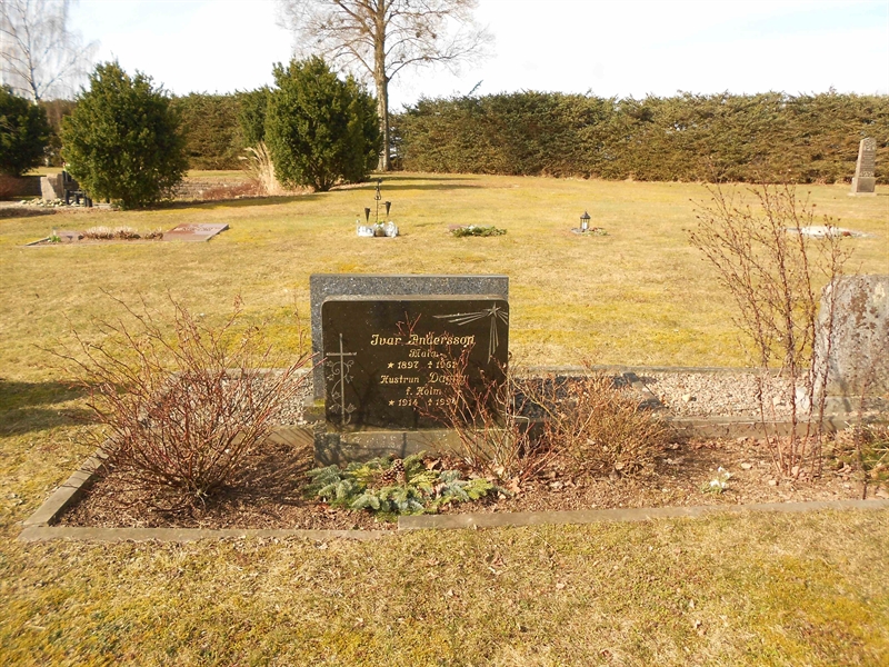 Grave number: V 25   113