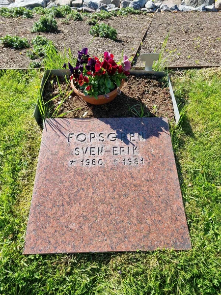 Grave number: 1 02 356