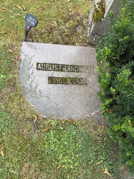 Grave number: 33 6   151-153