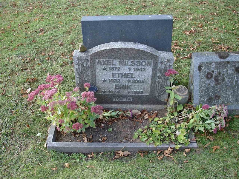 Grave number: FN S    36